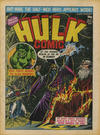 Cover for Hulk Comic (Marvel UK, 1979 series) #27