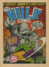 Cover for Hulk Comic (Marvel UK, 1979 series) #21