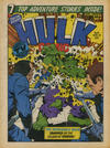 Cover for Hulk Comic (Marvel UK, 1979 series) #16