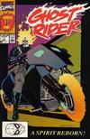 Cover for Ghost Rider (Marvel, 1990 series) #1 [Direct]