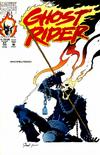 Cover for Ghost Rider (Marvel, 1990 series) #21 [Direct]