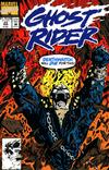 Cover Thumbnail for Ghost Rider (1990 series) #23 [Direct]