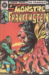 Cover for Le Monstre de Frankenstein (Editions Héritage, 1973 series) #10