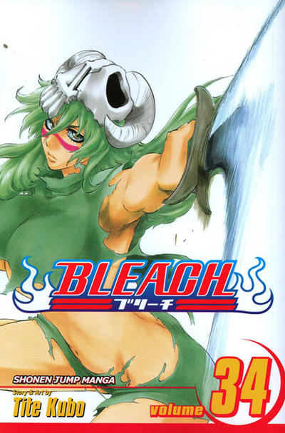 Cover for Bleach (Viz, 2004 series) #34