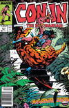 Cover for Conan the Barbarian (Marvel, 1970 series) #213 [Newsstand]