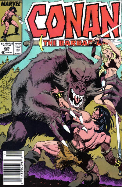 Cover for Conan the Barbarian (Marvel, 1970 series) #224 [Newsstand]