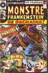 Cover for Le Monstre de Frankenstein (Editions Héritage, 1973 series) #13