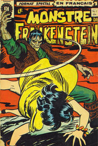 Cover Thumbnail for Le Monstre de Frankenstein (Editions Héritage, 1973 series) #7