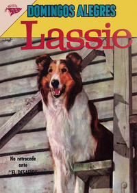 Cover Thumbnail for Domingos Alegres (Editorial Novaro, 1954 series) #316