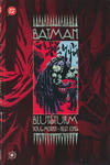 Cover for Batman - Blutsturm (Panini Deutschland, 2002 series) 