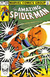 Cover for The Amazing Spider-Man (Marvel, 1963 series) #244 [Direct]