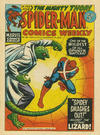 Cover for Spider-Man Comics Weekly (Marvel UK, 1973 series) #39