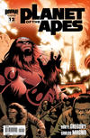 Cover for Planet of the Apes (Boom! Studios, 2011 series) #12 [Variant Cover B by Damian Couceiro]