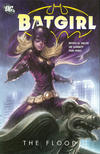 Cover for Batgirl: The Flood (DC, 2011 series) 
