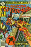 Cover Thumbnail for The Amazing Spider-Man (1963 series) #172 [Whitman]