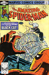 Cover Thumbnail for The Amazing Spider-Man (1963 series) #205 [Direct]