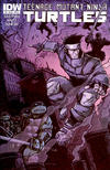 Cover Thumbnail for Teenage Mutant Ninja Turtles (2011 series) #6 [Cover B - Kevin Eastman Variant]