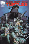 Cover for Teenage Mutant Ninja Turtles (IDW, 2011 series) #7 [Cover A - Dan Duncan]
