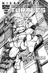 Cover for Teenage Mutant Ninja Turtles Microseries (IDW, 2011 series) #2 [Cover RI-A - David Petersen]