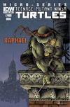Cover for Teenage Mutant Ninja Turtles Microseries (IDW, 2011 series) #1 [Cover A - David Petersen]