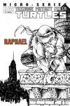 Cover for Teenage Mutant Ninja Turtles Microseries (IDW, 2011 series) #1 [Cover RI-A - David Petersen]