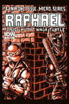 Cover for Teenage Mutant Ninja Turtles Microseries (IDW, 2011 series) #1 [Cover RI-B - Kevin Eastman]