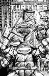 Cover Thumbnail for Teenage Mutant Ninja Turtles (2011 series) #4 [Cover RIA]