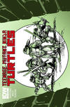 Cover for Teenage Mutant Ninja Turtles (IDW, 2011 series) #4 [Cover RE - Jetpack]