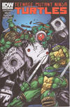 Cover for Teenage Mutant Ninja Turtles (IDW, 2011 series) #9 [Cover B]
