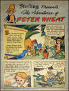 Cover for The Adventures of Peter Wheat (Peter Wheat Bread and Bakers Associates, 1948 series) #6
