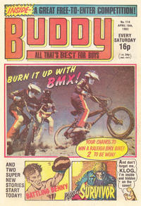 Cover Thumbnail for Buddy (D.C. Thomson, 1981 series) #114