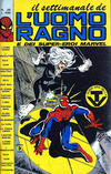 Cover for Il Settimanale de L'Uomo Ragno (Editoriale Corno, 1981 series) #20