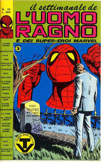 Cover Thumbnail for Il Settimanale de L'Uomo Ragno (Editoriale Corno, 1981 series) #22
