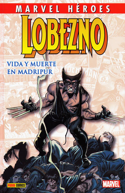 Cover for Coleccionable Marvel Héroes (Panini España, 2010 series) #37