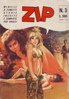 Cover for Zip (Ediperiodici, 1969 series) #3