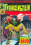 Cover for Frankenstein (Svenska serier, 1973 series) #2/[1973]