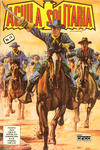 Cover for Aguila Solitaria (Editora Cinco, 1976 series) #19