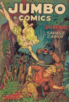 Cover for Jumbo Comics (Superior, 1951 series) #160
