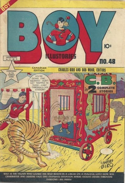 Cover for Boy Comics [Boy Illustories] (Superior, 1948 series) #48