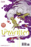 Cover for The Unwritten (DC, 2009 series) #38