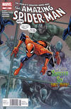 Cover for The Amazing Spider-Man (Marvel, 1999 series) #676 [Newsstand]