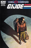 Cover for G.I. Joe Season 2 (IDW, 2011 series) #12 [Cover A]