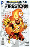 Cover for The Fury of Firestorm: The Nuclear Men (DC, 2011 series) #0