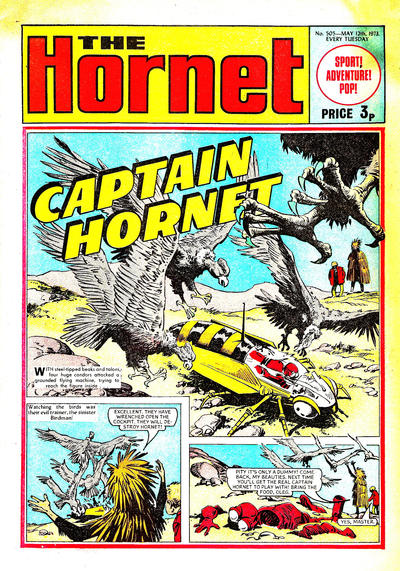 Cover for The Hornet (D.C. Thomson, 1963 series) #505