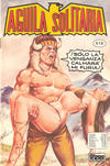 Cover for Aguila Solitaria (Editora Cinco, 1976 series) #519