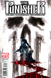 Cover for The Punisher (Marvel, 2011 series) #16