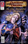 Cover for Dungeons & Dragons: In the Shadow of Dragons (Kenzer and Company, 2001 series) #7