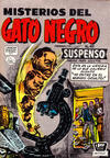 Cover for Misterios del Gato Negro (Editora de Periódicos La Prensa S.C.L., 1953 series) #49
