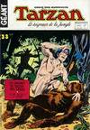 Cover for Tarzan Géant (Sage - Sagédition, 1969 series) #33