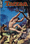 Cover for Tarzan Géant (Sage - Sagédition, 1969 series) #37